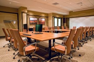 Board of Directors Executive Role