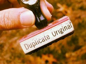 personal brand copycat