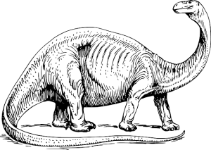 Cover letter and executive job search