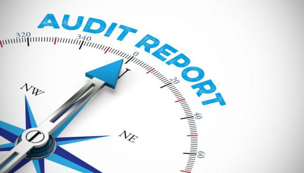 Who Are The Members Of Audit Committee